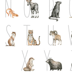 Entdecke wunderschöne Illustrationen im Aquarellstil von Tiger, Panther, Yak und weiteren Tierarten.