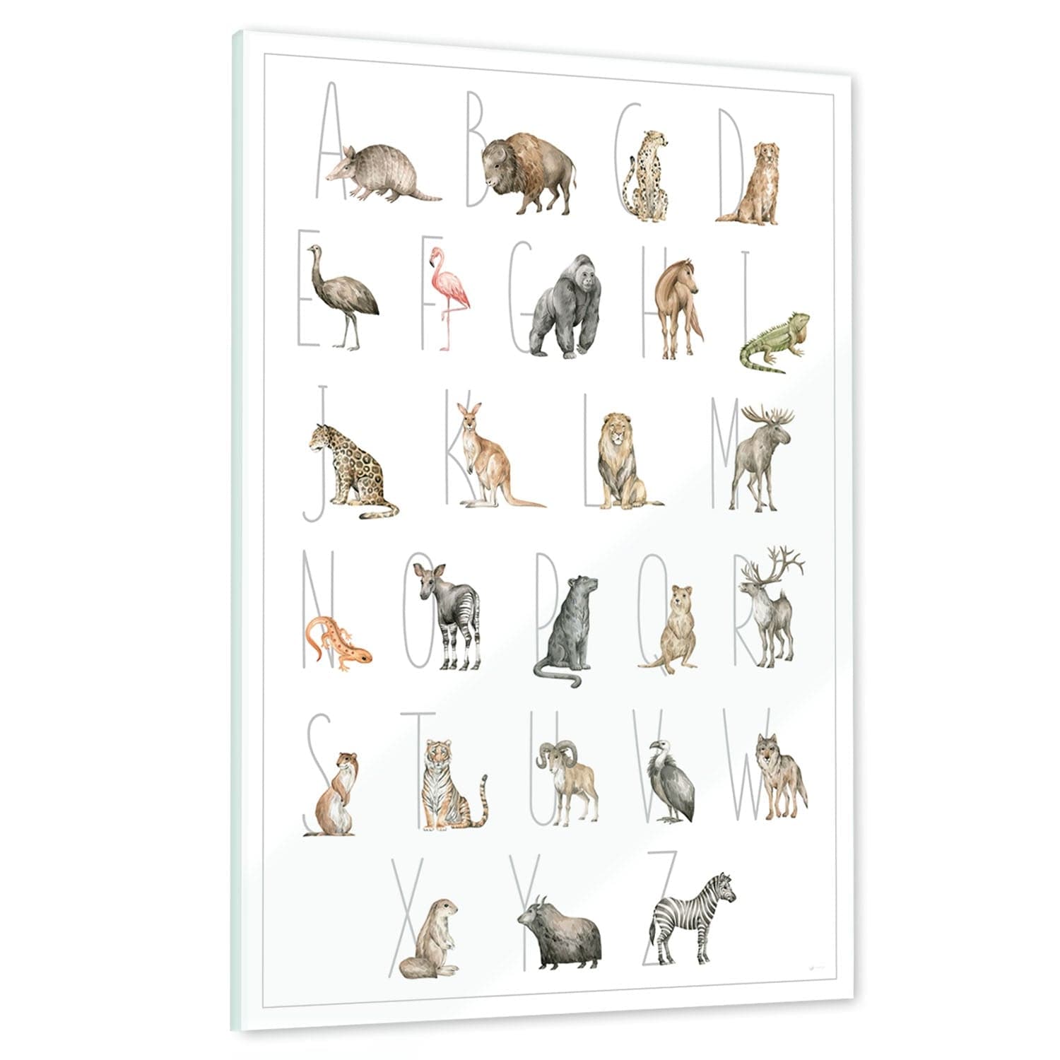 Ein echtes Schmuckstück - Dein Tierwelt Alphabet Motiv als Glasbild ist besonders edel.