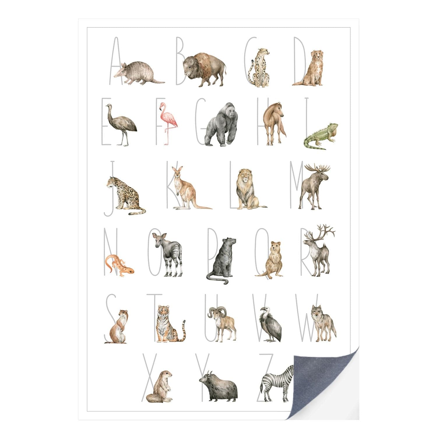 Schnell und einfach - als Klebeposter ist Dein Tierwelt Alphabet Motiv besonders einfach an die Wand zu bringen.