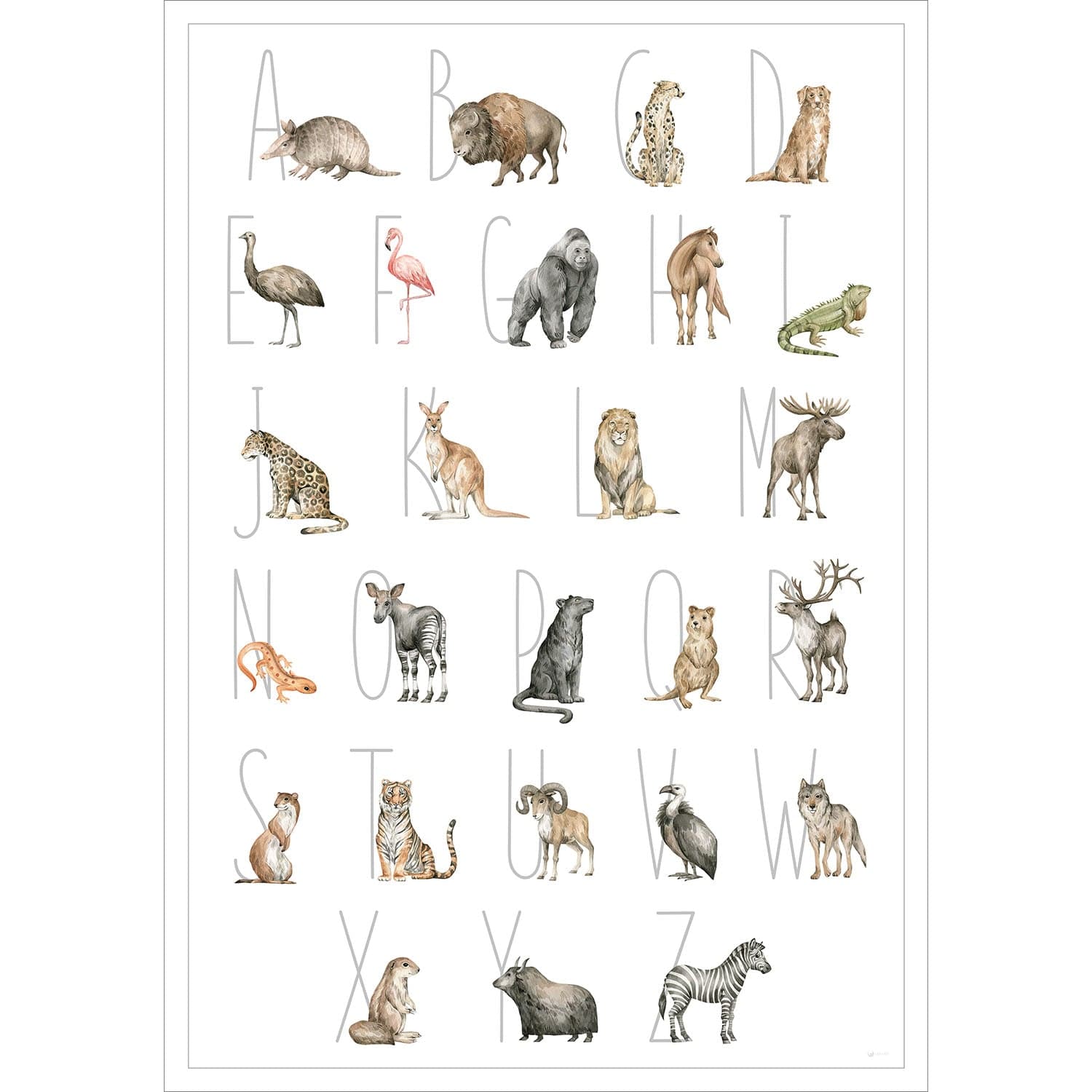 Entdecke die verschiedenen Tierarten der Welt auf diesem stilvollen Poster.