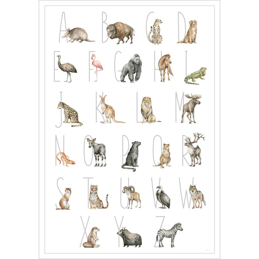 Entdecke die verschiedenen Tierarten der Welt auf diesem stilvollen Poster.