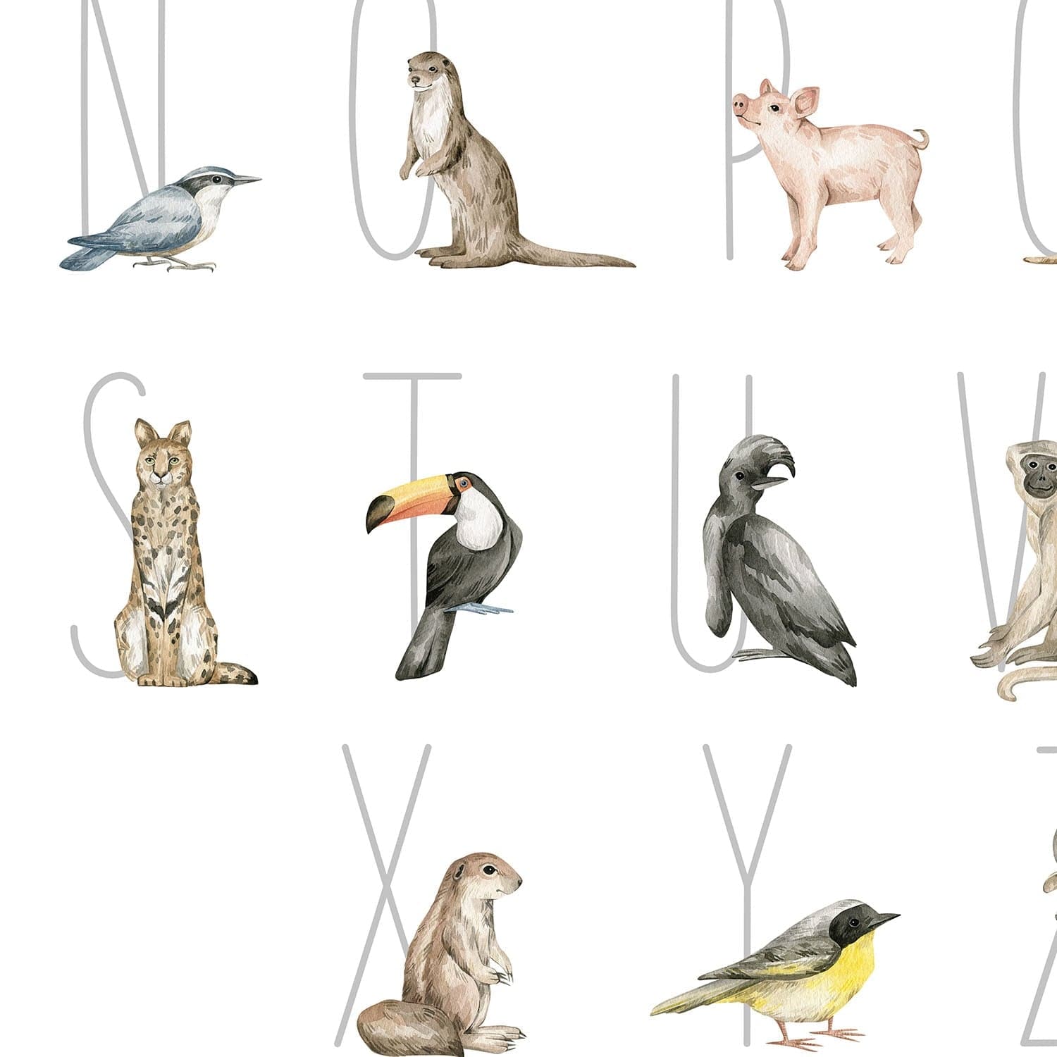 Entdecke wunderschöne Illustrationen im Aquarellstil von Schwein, Serval, Tukan und weiteren Tierarten.