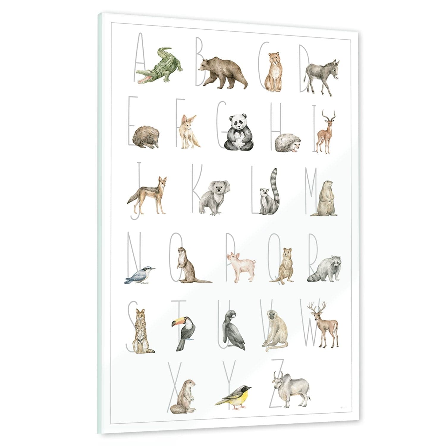 Ein echtes Schmuckstück - Dein Tierwelt Alphabet Motiv als Glasbild ist besonders edel.