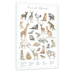 Ein echtes Schmuckstück - Dein Tierwelt Alphabet Motiv als Glasbild ist besonders edel.