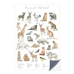 Schnell und einfach - als Klebeposter ist Dein Tierwelt Alphabet Motiv besonders einfach an die Wand zu bringen.