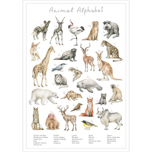 Entdecke die verschiedenen Tierarten der Welt auf diesem stilvollen Poster