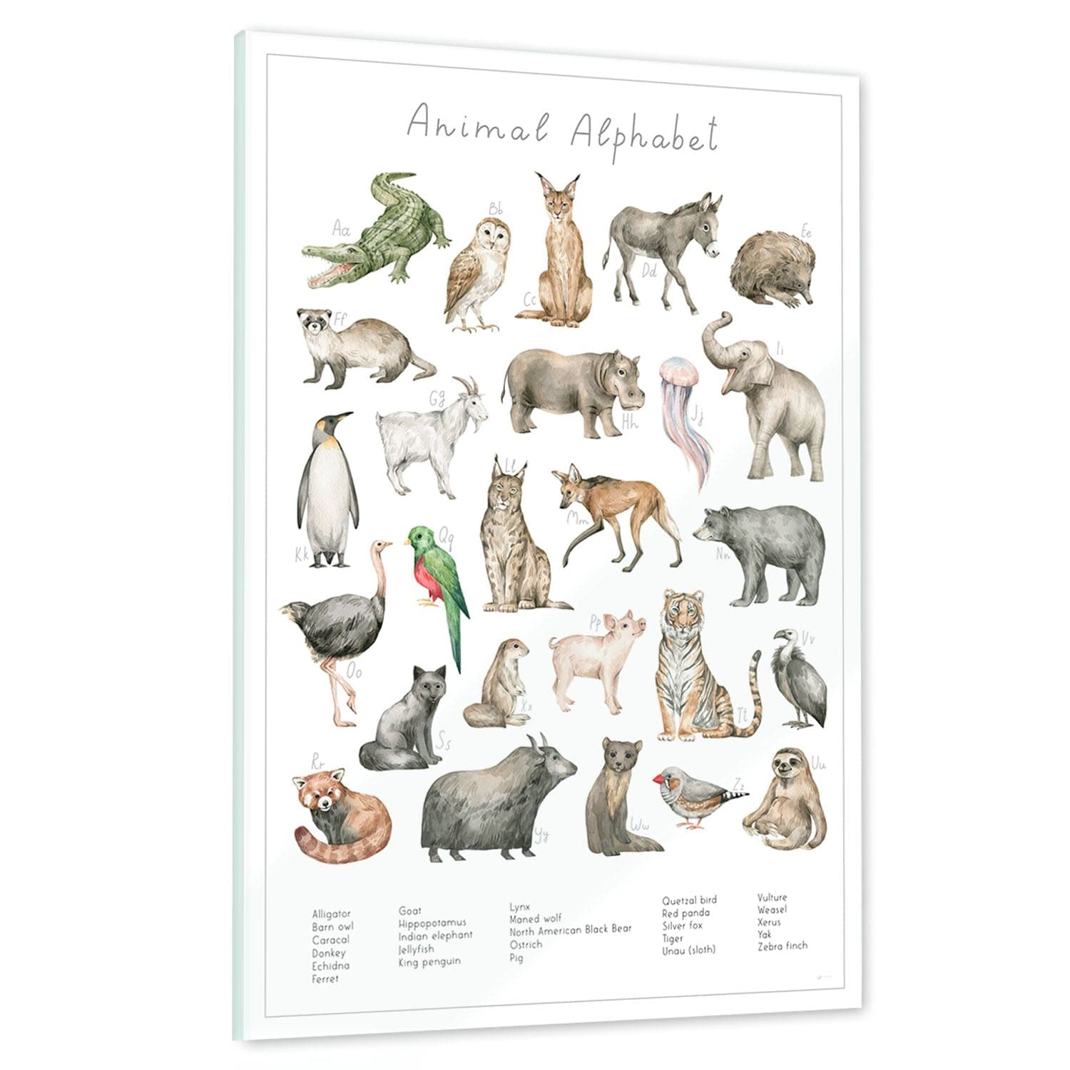 Ein echtes Schmuckstück - Dein Tierwelt Alphabet Motiv als Glasbild ist besonders edel.