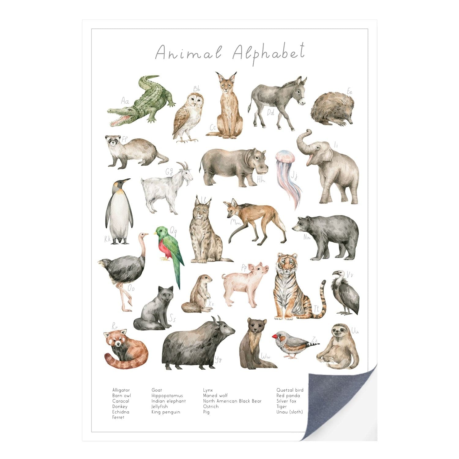 Schnell und einfach - als Klebeposter ist Dein Tierwelt Alphabet Motiv besonders einfach an die Wand zu bringen.