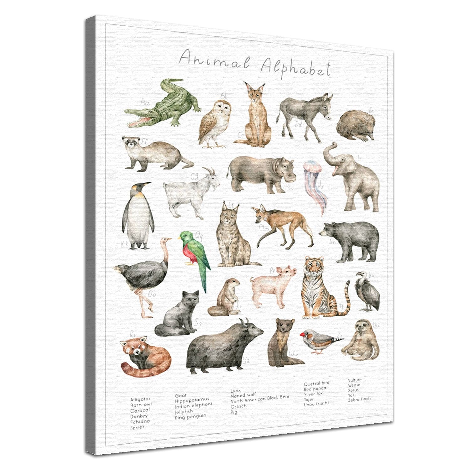 Dein Tierwelt Alphabet Motiv als edle Leinwand mit natürlicher Baumwolle und nachhaltigen Holzrahmen.