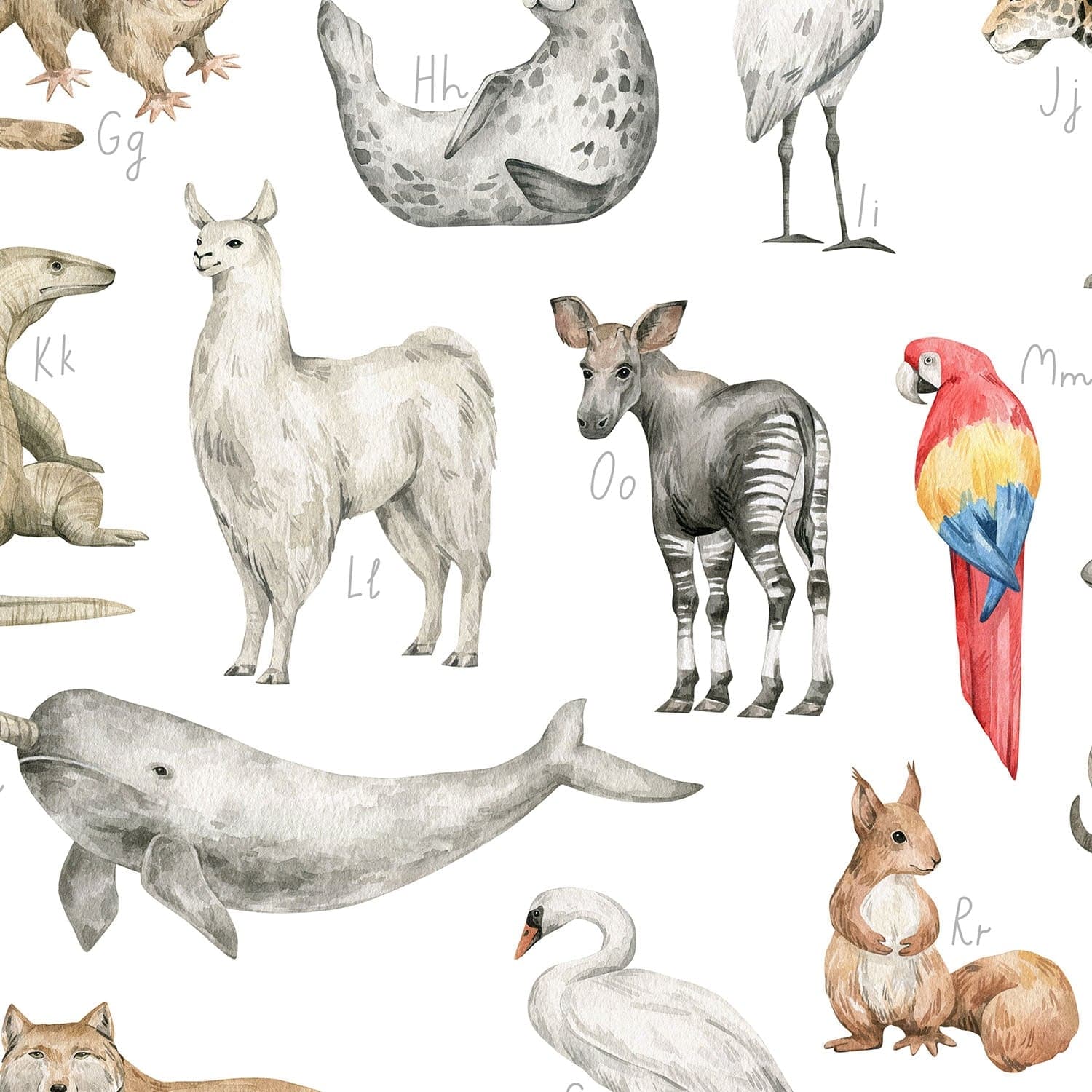 Entdecke wunderschöne Illustrationen im Aquarellstil von Luchs, Tiger, Flusspferd und weiteren Tierarten.