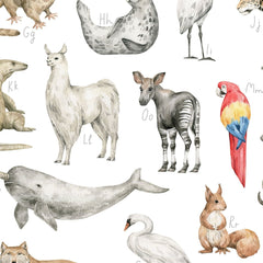 Entdecke wunderschöne Illustrationen im Aquarellstil von Luchs, Tiger, Flusspferd und weiteren Tierarten.