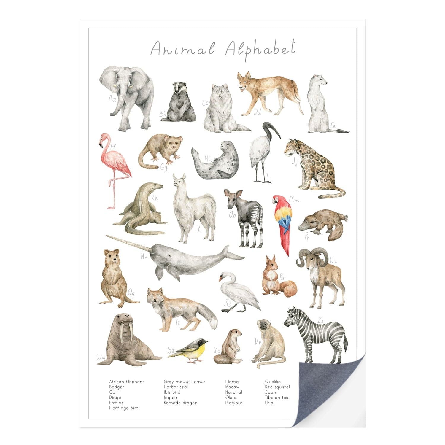 Schnell und einfach - als Klebeposter ist Dein Tierwelt Alphabet Motiv besonders einfach an die Wand zu bringen.