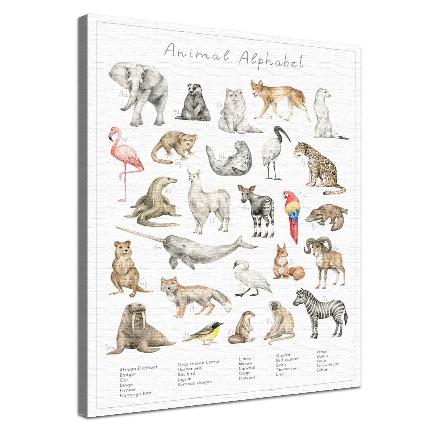 Dein Tierwelt Alphabet Motiv als edle Leinwand mit natürlicher Baumwolle und nachhaltigen Holzrahmen.