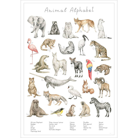 Entdecke die verschiedenen Tierarten der Welt auf diesem stilvollen Poster