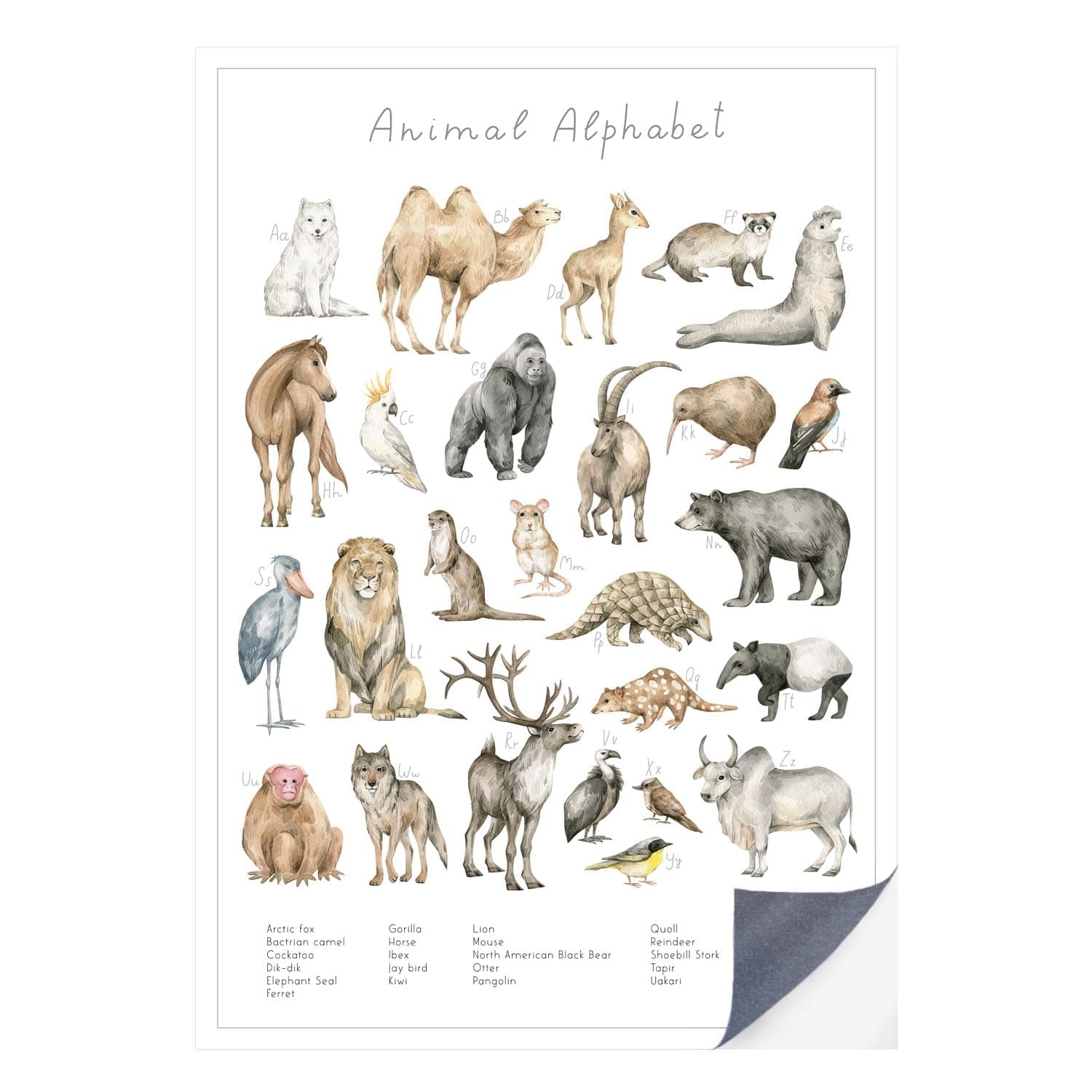 Schnell und einfach - als Klebeposter ist Dein Tierwelt Alphabet Motiv besonders einfach an die Wand zu bringen.