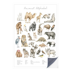 Schnell und einfach - als Klebeposter ist Dein Tierwelt Alphabet Motiv besonders einfach an die Wand zu bringen.