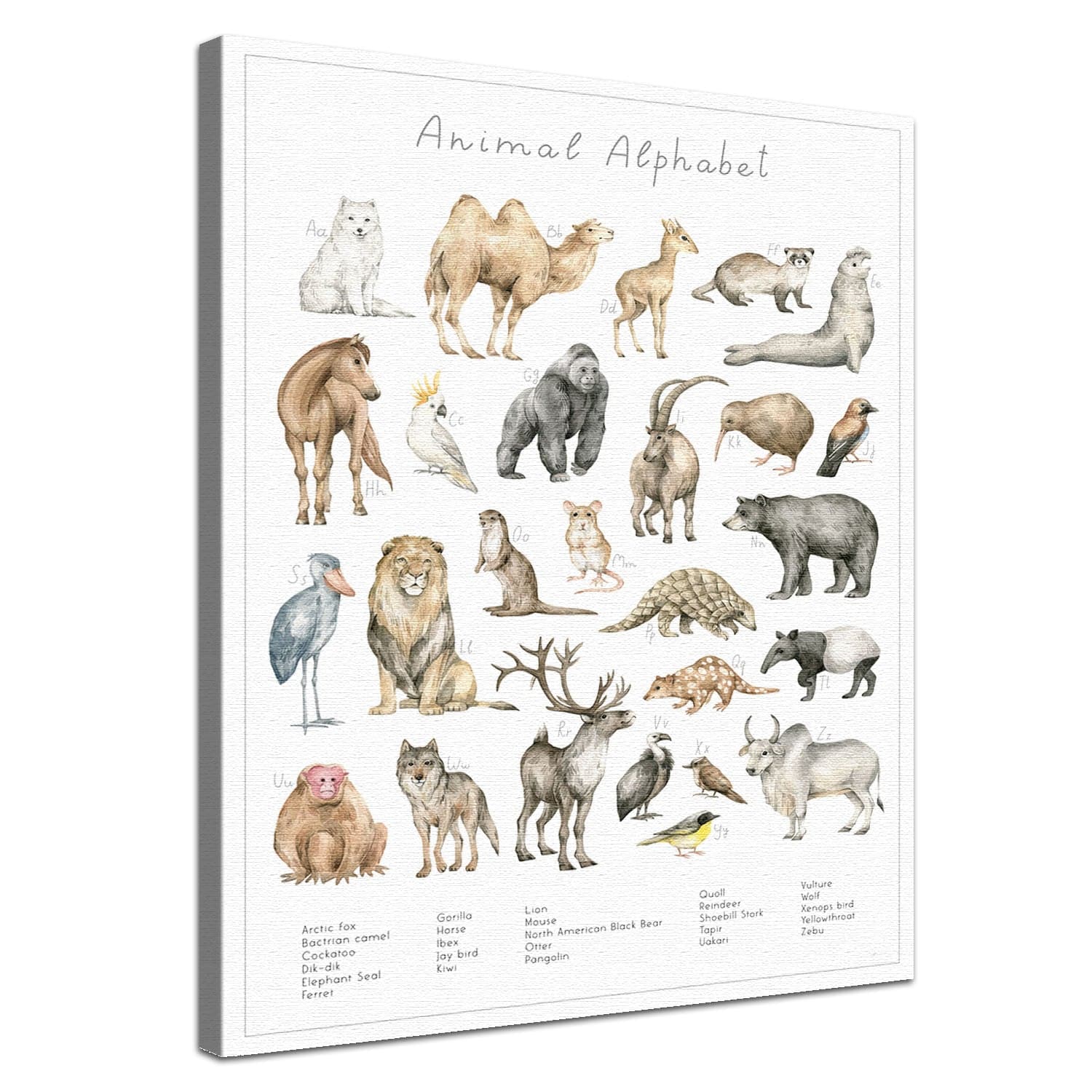 Dein Tierwelt Alphabet Motiv als edle Leinwand mit natürlicher Baumwolle und nachhaltigen Holzrahmen.