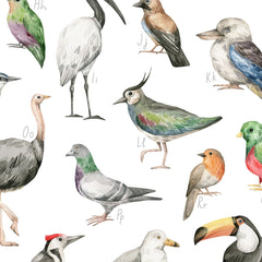 Entdecke wunderschöne Illustrationen im Aquarellstil von Taube, Strauß, Tukan und weiteren Tierarten.