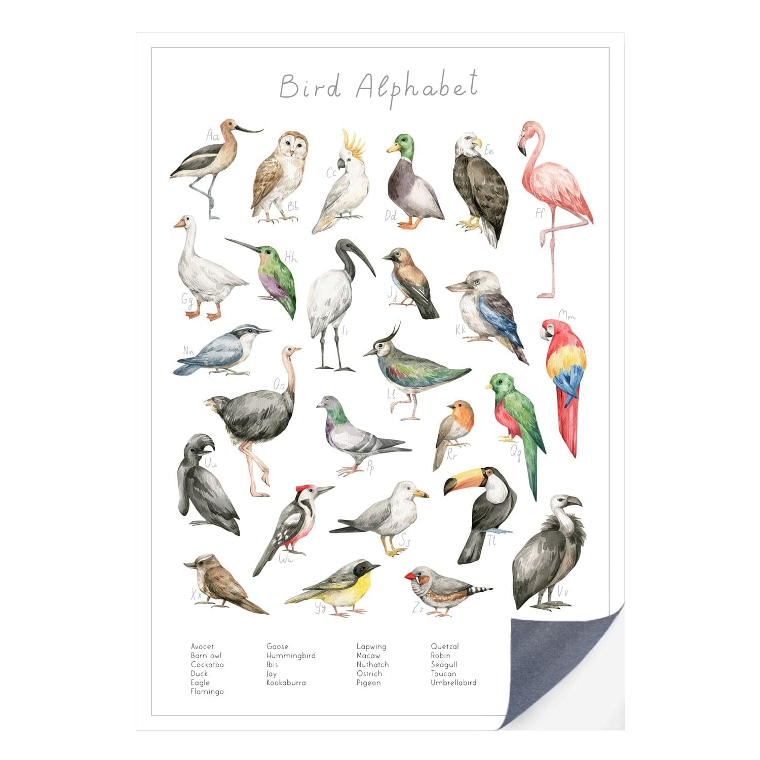 Schnell und einfach - als Klebeposter ist Dein Tierwelt Vogel Alphabet Motiv besonders einfach an die Wand zu bringen.