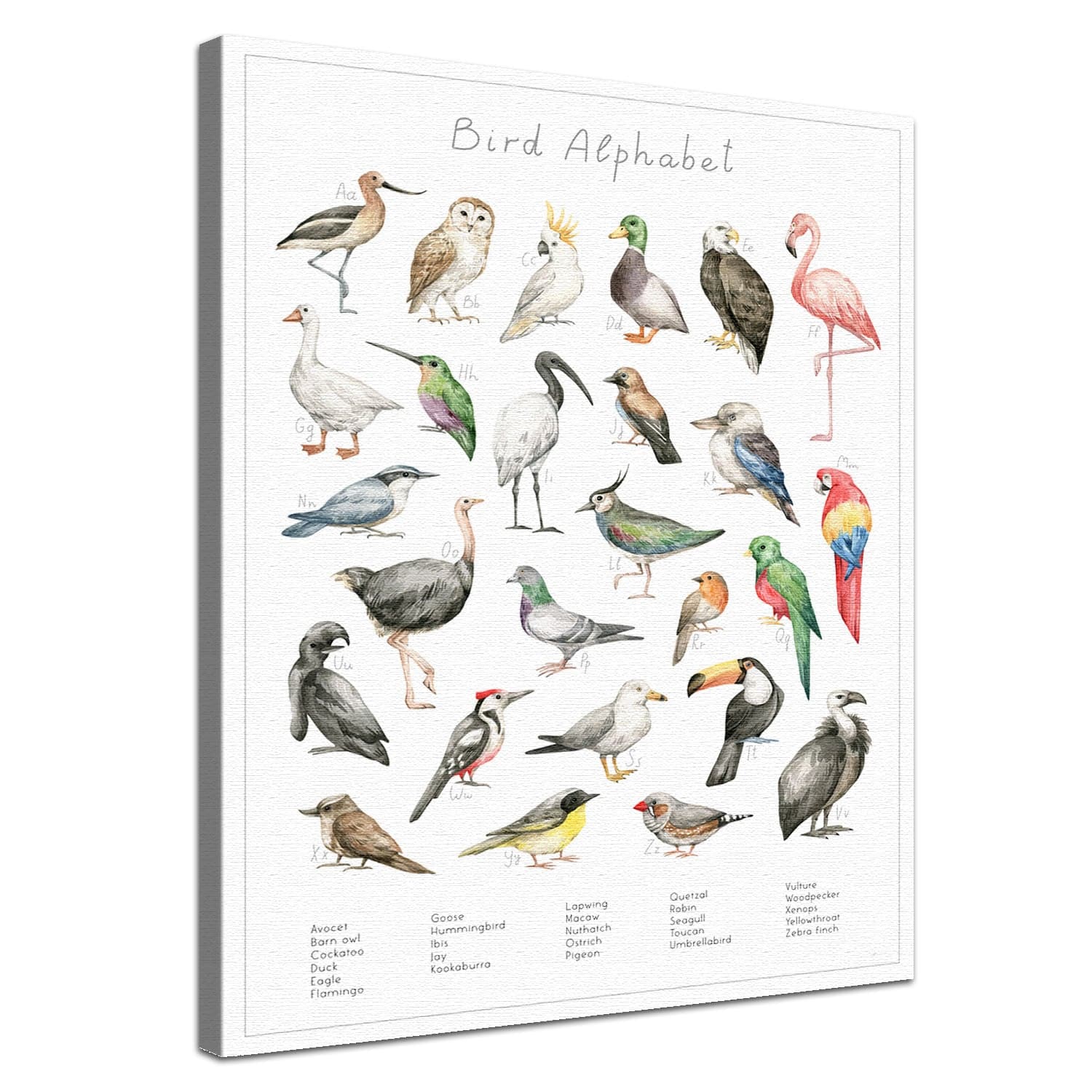 Dein Tierwelt Vogel Alphabet Motiv als edle Leinwand mit natürlicher Baumwolle und nachhaltigen Holzrahmen.