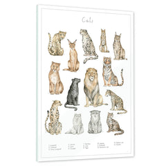 Ein echtes Schmuckstück - Dein Tierwelt Katzen Motiv als Glasbild ist besonders edel.