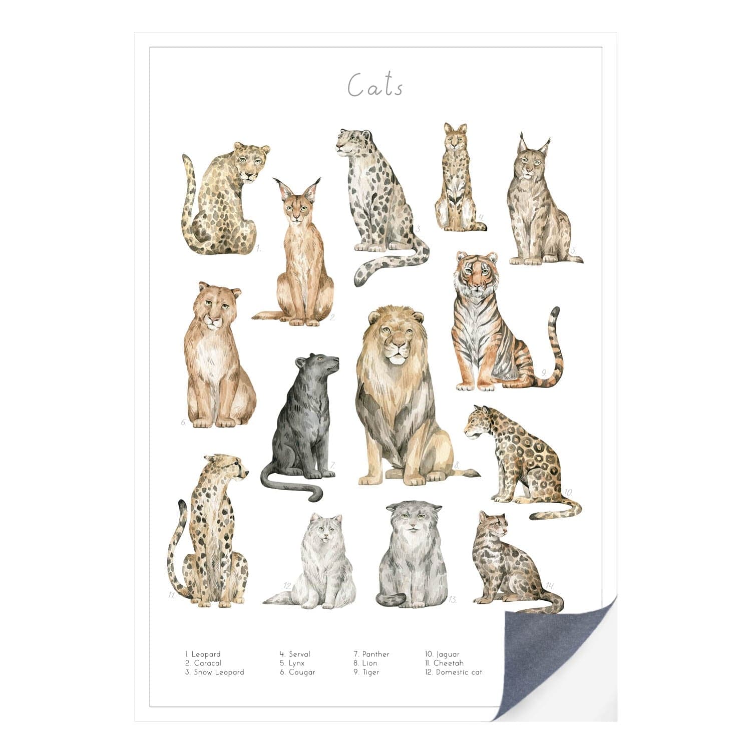 Schnell und einfach - als Klebeposter ist Dein Tierwelt Katzen Motiv besonders einfach an die Wand zu bringen.