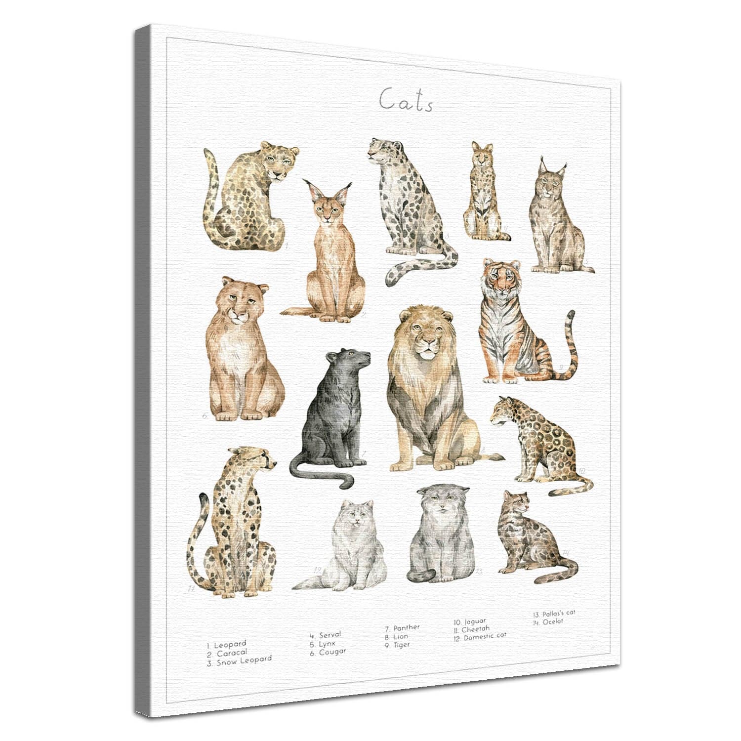 Dein Tierwelt Katzen Motiv als edle Leinwand mit natürlicher Baumwolle und nachhaltigen Holzrahmen.