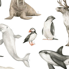 Entdecke wunderschöne Illustrationen im Aquarellstil von Pinguin, Walross, Rentier und weiteren Tierarten.