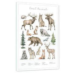 Ein echtes Schmuckstück - Dein Tierwelt Wald Motiv als Glasbild ist besonders edel.