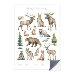 Schnell und einfach - als Klebeposter ist Dein Tierwelt Wald Motiv besonders einfach an die Wand zu bringen.