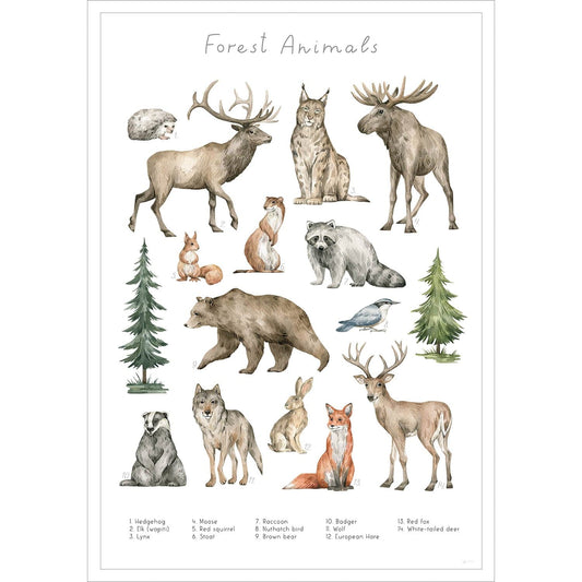 Entdecke die verschiedenen Tiere des Waldes auf diesem stilvollen Poster.