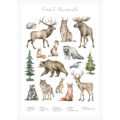 Entdecke die verschiedenen Tiere des Waldes auf diesem stilvollen Poster.