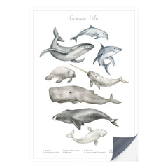Schnell und einfach - als Klebeposter ist Dein Tierwelt Wasser Motiv besonders einfach an die Wand zu bringen.