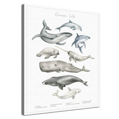 Dein Tierwelt Wasser Motiv als edle Leinwand mit natürlicher Baumwolle und nachhaltigen Holzrahmen.