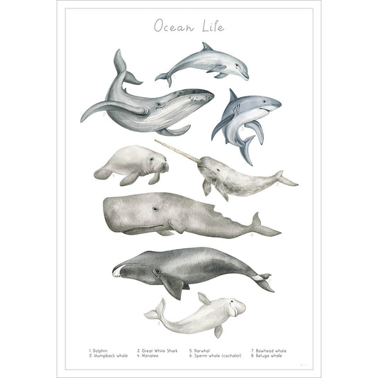 Entdecke die verschiedenen Tiere des Wassers auf diesem stilvollen Poster.
