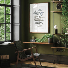 Stilvoll und schlicht fügt sich Dein Tierwelt Wasser Poster in Deine Räume ein.