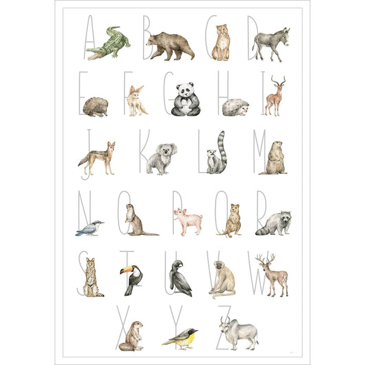 Entdecke die verschiedenen Tierarten der Welt auf diesem stilvollen Poster.