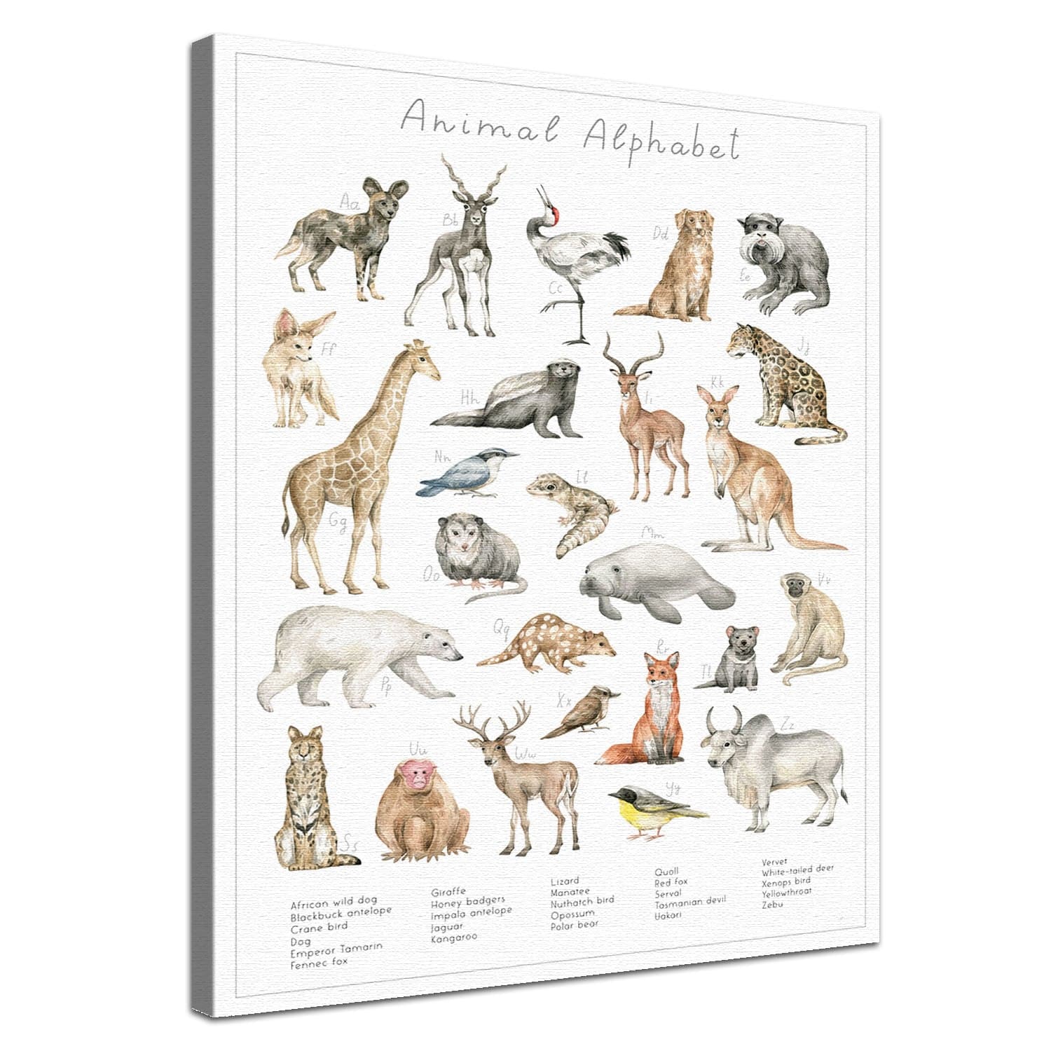 Dein Tierwelt Alphabet Motiv als edle Leinwand mit natürlicher Baumwolle und nachhaltigen Holzrahmen.