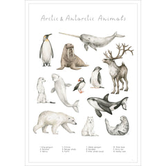 Entdecke die verschiedenen Tierarten auf diesem stilvollen Poster.